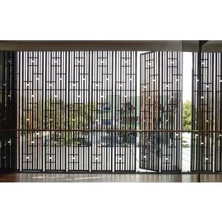Luxury Metal Door 066 | Steel Crafted Door with Elegant Windows