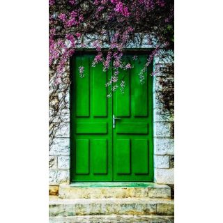 Elegant Green Wood Double Doors - Crafted in Morocco