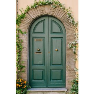 Botanical Green Solid Wood Double Door - Moroccan Craftsmanship