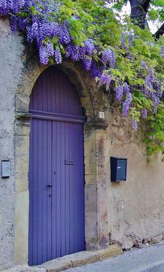 Luxury Violet Wood Door with Hand-Carved Stripes